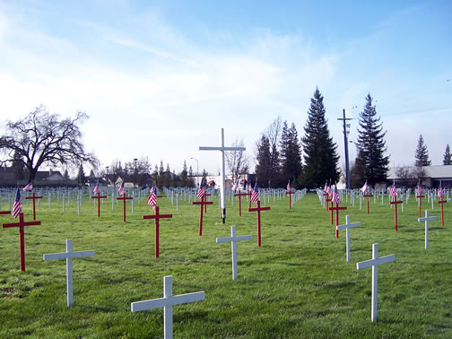 field of crosses